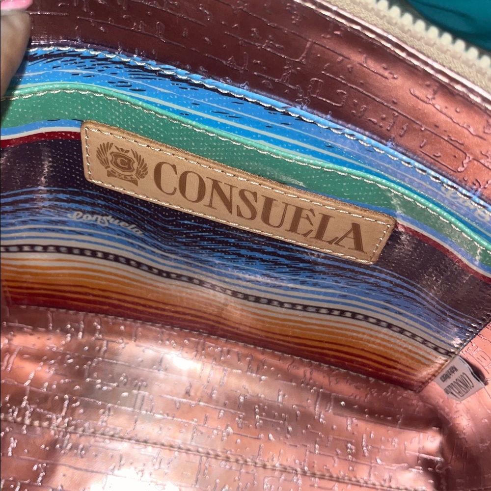 Consuela Teal Snake-Embossed Crossbody with Tan Accents - Picture 6 of 11